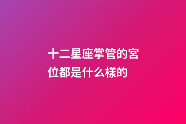 十二星座掌管的宮位都是什么樣的-第1張-星座運勢-玄機派