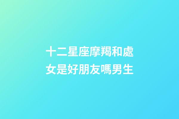 十二星座摩羯和處女是好朋友嗎男生-第1張-星座運勢-玄機派