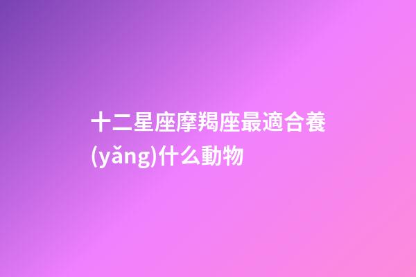 十二星座摩羯座最適合養(yǎng)什么動物-第1張-星座運勢-玄機派