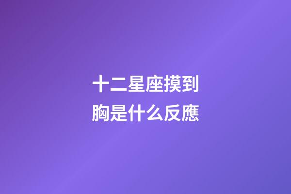 十二星座摸到胸是什么反應-第1張-星座運勢-玄機派