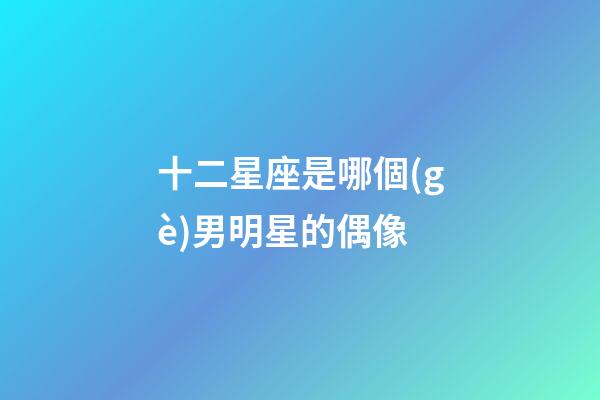 十二星座是哪個(gè)男明星的偶像-第1張-星座運(yùn)勢(shì)-玄機(jī)派