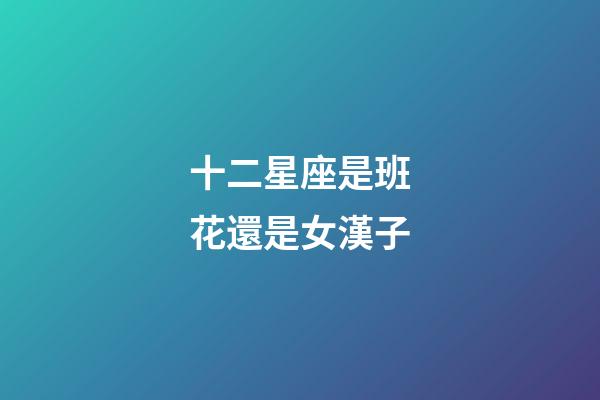 十二星座是班花還是女漢子-第1張-星座運勢-玄機派