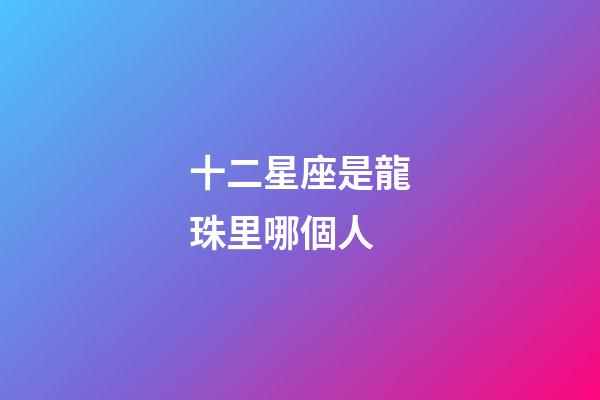 十二星座是龍珠里哪個人