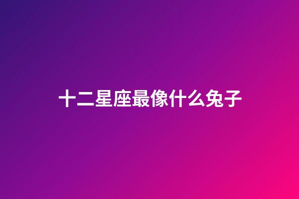 十二星座最像什么兔子-第1張-星座運勢-玄機(jī)派