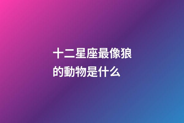 十二星座最像狼的動物是什么-第1張-星座運勢-玄機派
