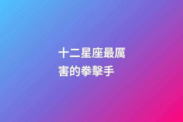 十二星座最厲害的拳擊手