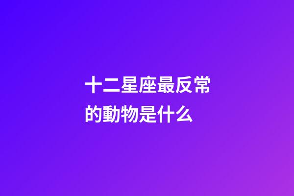 十二星座最反常的動物是什么-第1張-星座運勢-玄機派