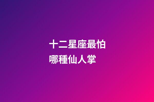 十二星座最怕哪種仙人掌-第1張-星座運勢-玄機派