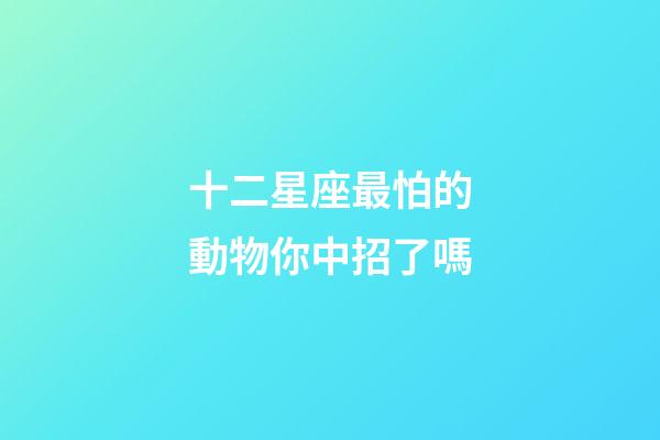 十二星座最怕的動物你中招了嗎-第1張-星座運勢-玄機派
