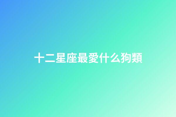 十二星座最愛什么狗類-第1張-星座運勢-玄機派