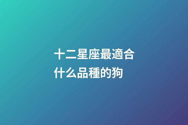 十二星座最適合什么品種的狗-第1張-星座運勢-玄機派