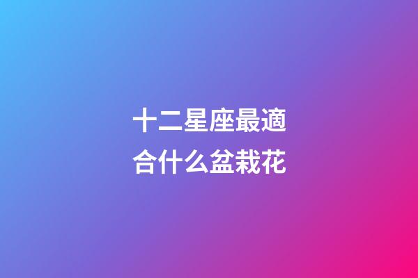 十二星座最適合什么盆栽花-第1張-星座運勢-玄機派