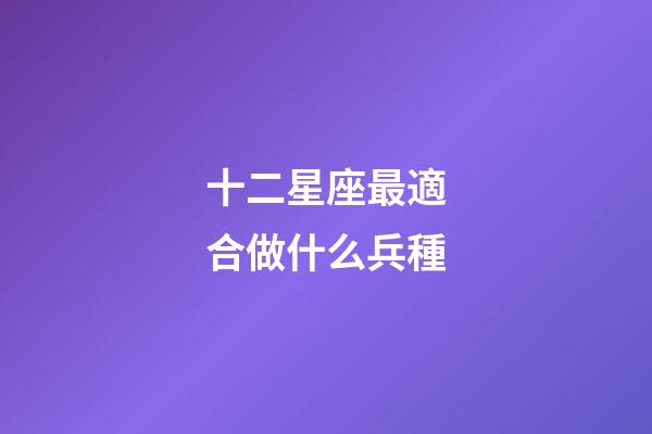 十二星座最適合做什么兵種-第1張-星座運勢-玄機派