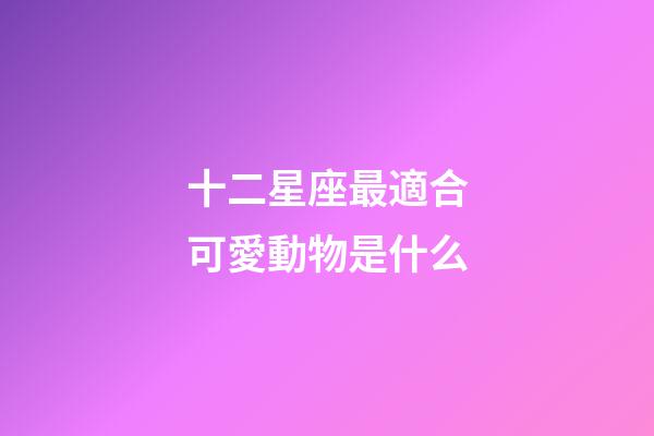 十二星座最適合可愛動物是什么-第1張-星座運勢-玄機派