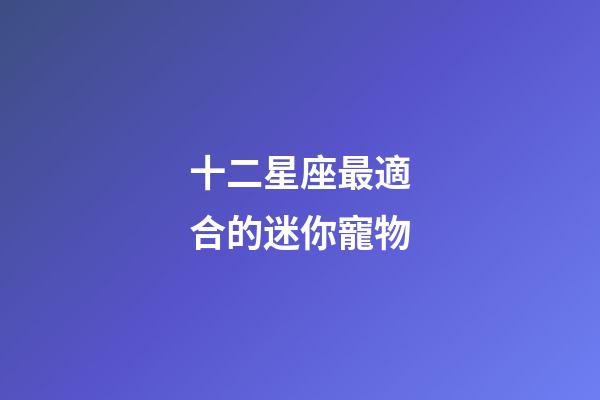 十二星座最適合的迷你寵物-第1張-星座運勢-玄機派