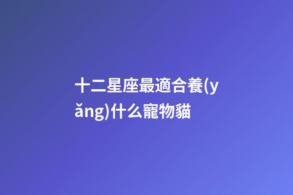 十二星座最適合養(yǎng)什么寵物貓-第1張-星座運(yùn)勢-玄機(jī)派