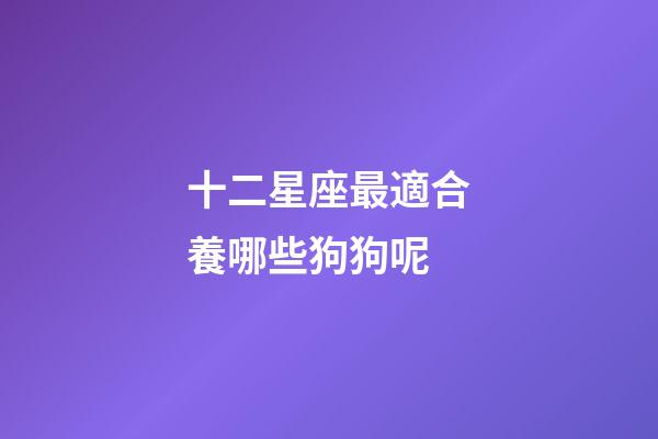 十二星座最適合養哪些狗狗呢-第1張-星座運勢-玄機派