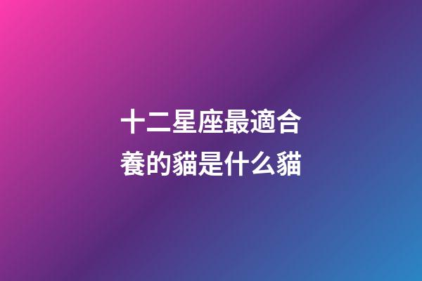 十二星座最適合養的貓是什么貓-第1張-星座運勢-玄機派