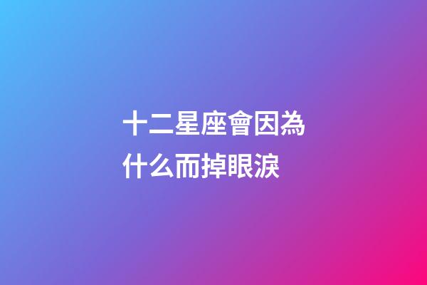 十二星座會因為什么而掉眼淚-第1張-星座運勢-玄機派