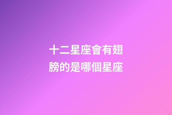 十二星座會有翅膀的是哪個星座-第1張-星座運勢-玄機派