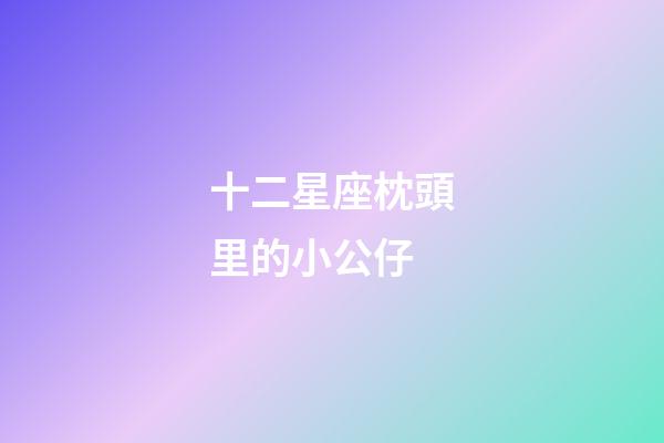 十二星座枕頭里的小公仔