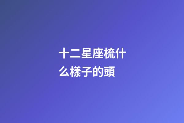 十二星座梳什么樣子的頭-第1張-星座運勢-玄機派