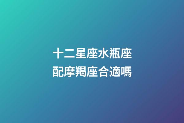 十二星座水瓶座配摩羯座合適嗎-第1張-星座運勢-玄機派