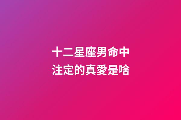 十二星座男命中注定的真愛是啥-第1張-星座運勢-玄機派