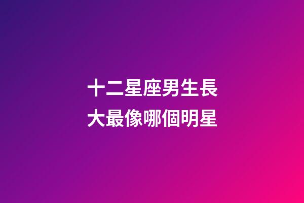十二星座男生長大最像哪個明星-第1張-星座運勢-玄機派