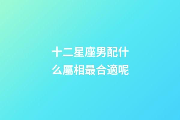 十二星座男配什么屬相最合適呢-第1張-星座運勢-玄機派