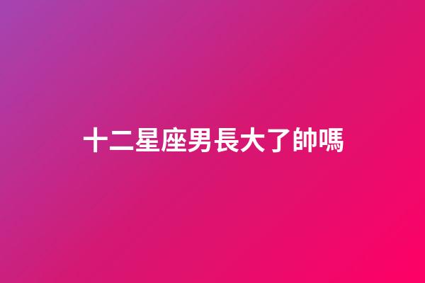 十二星座男長大了帥嗎-第1張-星座運勢-玄機派