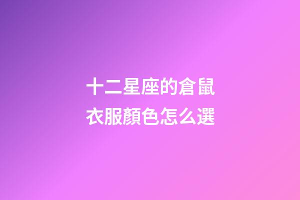 十二星座的倉鼠衣服顏色怎么選-第1張-星座運(yùn)勢-玄機(jī)派