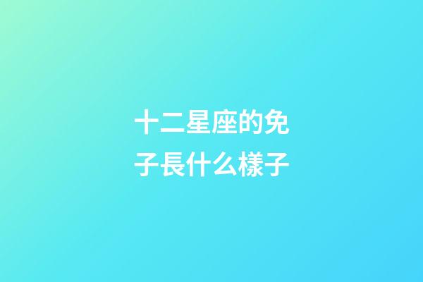十二星座的免子長什么樣子-第1張-星座運勢-玄機派