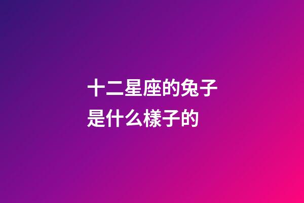 十二星座的兔子是什么樣子的-第1張-星座運勢-玄機派