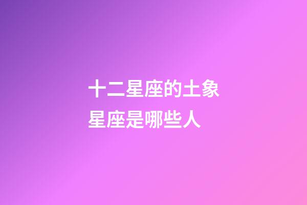 十二星座的土象星座是哪些人-第1張-星座運勢-玄機派