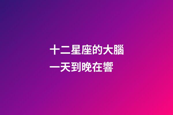 十二星座的大腦一天到晚在響-第1張-星座運勢-玄機派