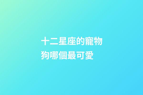 十二星座的寵物狗哪個最可愛-第1張-星座運勢-玄機派
