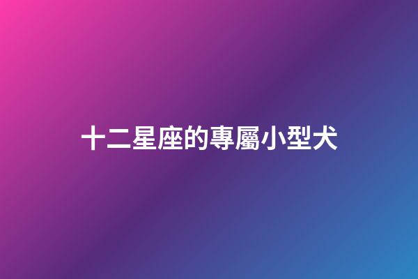 十二星座的專屬小型犬-第1張-星座運(yùn)勢(shì)-玄機(jī)派
