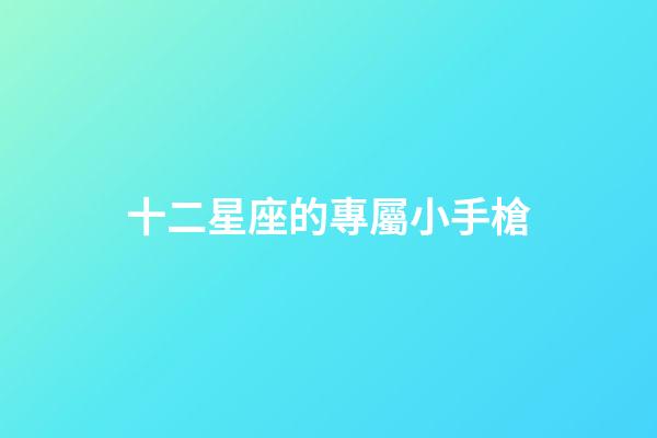 十二星座的專屬小手槍