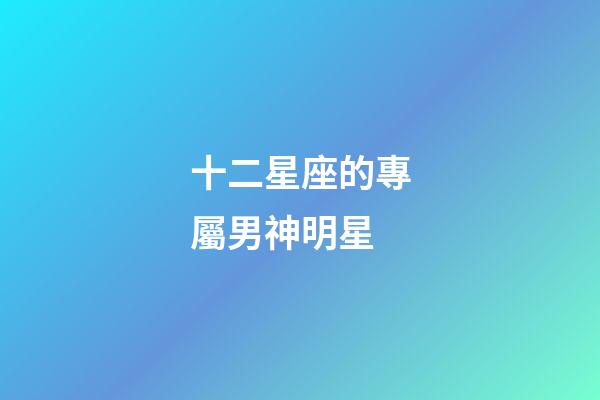 十二星座的專屬男神明星