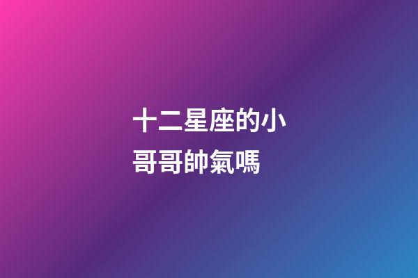 十二星座的小哥哥帥氣嗎-第1張-星座運(yùn)勢(shì)-玄機(jī)派