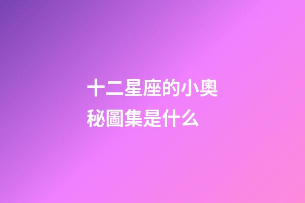 十二星座的小奧秘圖集是什么