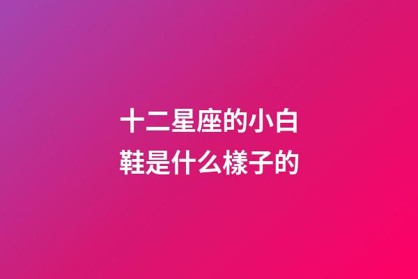 十二星座的小白鞋是什么樣子的-第1張-星座運勢-玄機派
