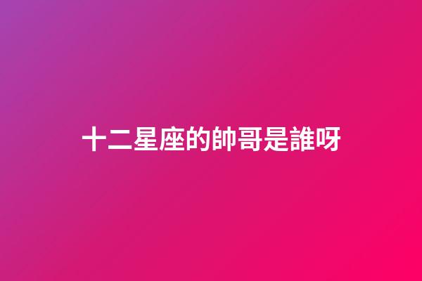 十二星座的帥哥是誰呀-第1張-星座運勢-玄機派