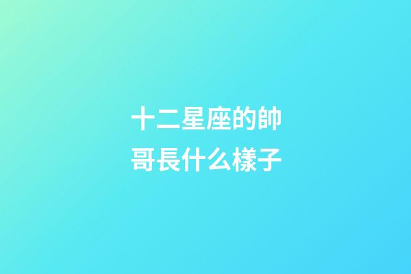 十二星座的帥哥長什么樣子-第1張-星座運勢-玄機派