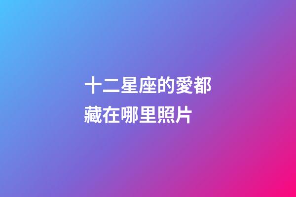 十二星座的愛都藏在哪里照片-第1張-星座運勢-玄機派