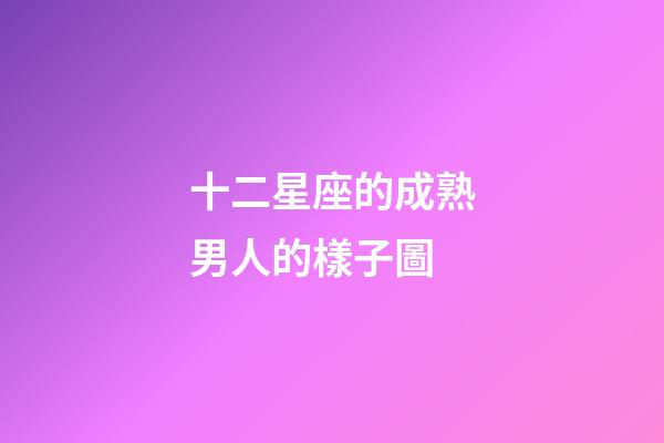 十二星座的成熟男人的樣子圖-第1張-星座運勢-玄機派