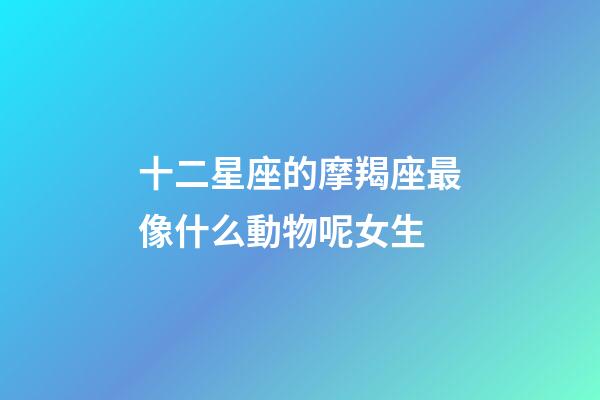 十二星座的摩羯座最像什么動物呢女生