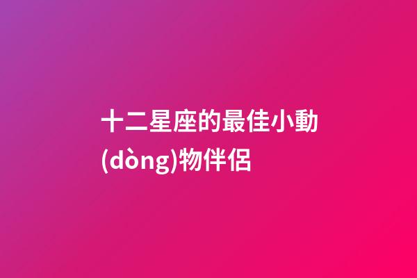 十二星座的最佳小動(dòng)物伴侶-第1張-星座運(yùn)勢(shì)-玄機(jī)派