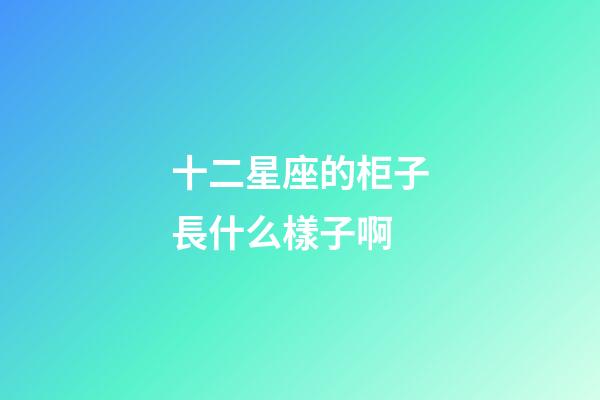 十二星座的柜子長什么樣子啊-第1張-星座運(yùn)勢-玄機(jī)派